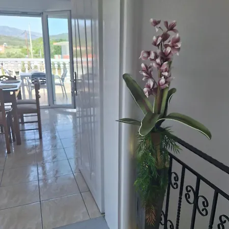 Apartman Amaze House *